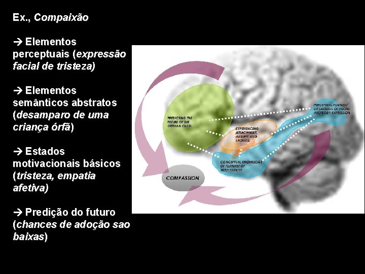 Ex. , Compaixão Elementos perceptuais (expressão facial de tristeza) Elementos semânticos abstratos (desamparo de