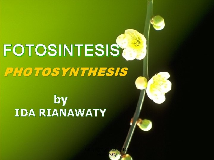 FOTOSINTESIS PHOTOSYNTHESIS by IDA RIANAWATY Copyright@2009 by Ida Rianawaty 