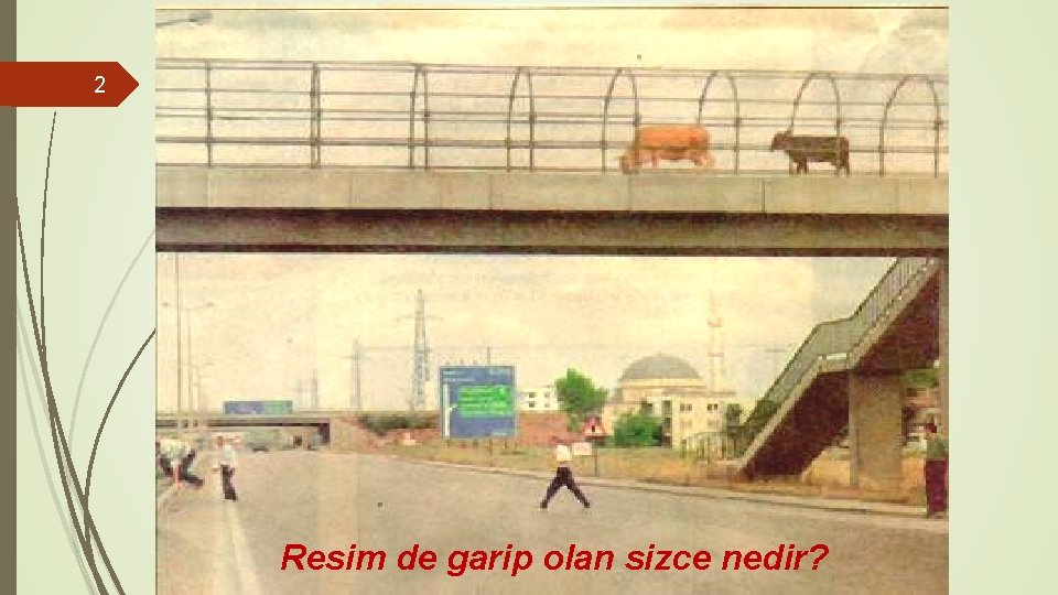 2 Resim de garip olan sizce nedir? 