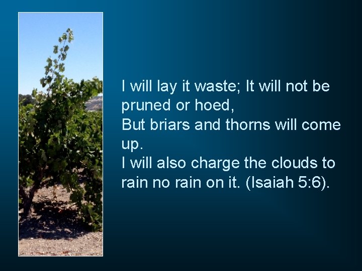 I will lay it waste; It will not be pruned or hoed, But briars