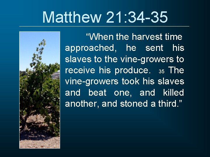 Matthew 21: 34 -35 “When the harvest time approached, he sent his slaves to Matthew 21: 34 -35 “When the harvest time approached, he sent his slaves to
