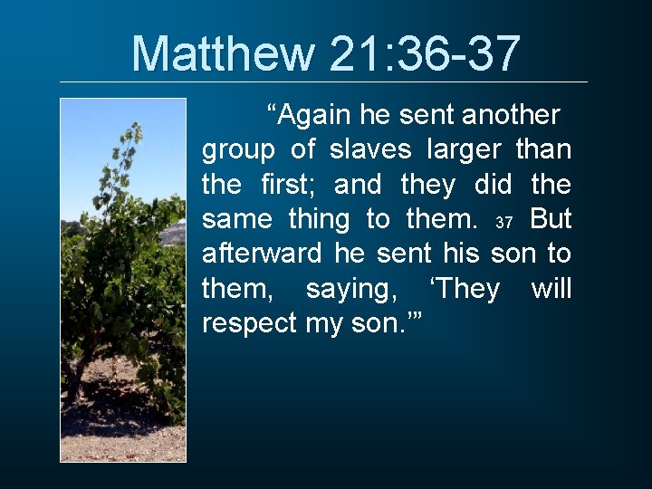 Matthew 21: 36 -37 “Again he sent another group of slaves larger than the