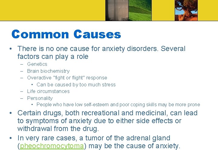 Common Causes • There is no one cause for anxiety disorders. Several factors can