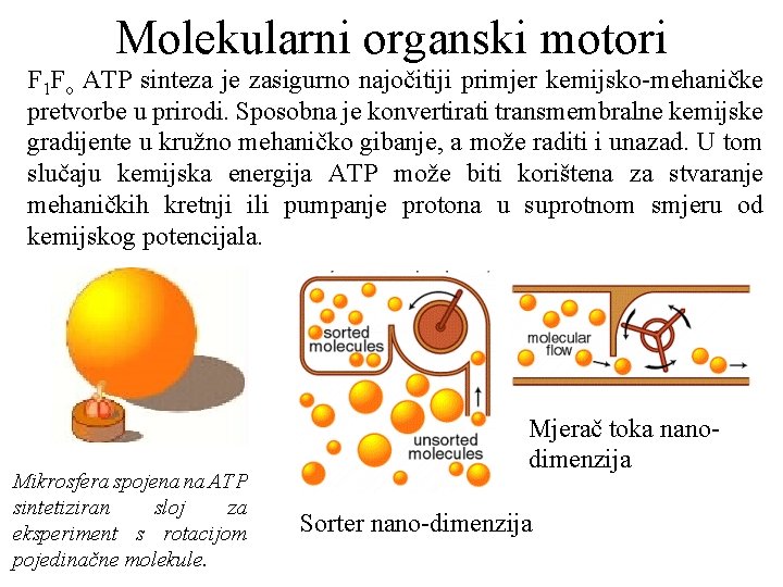 Molekularni organski motori F 1 Fo ATP sinteza je zasigurno najočitiji primjer kemijsko-mehaničke pretvorbe