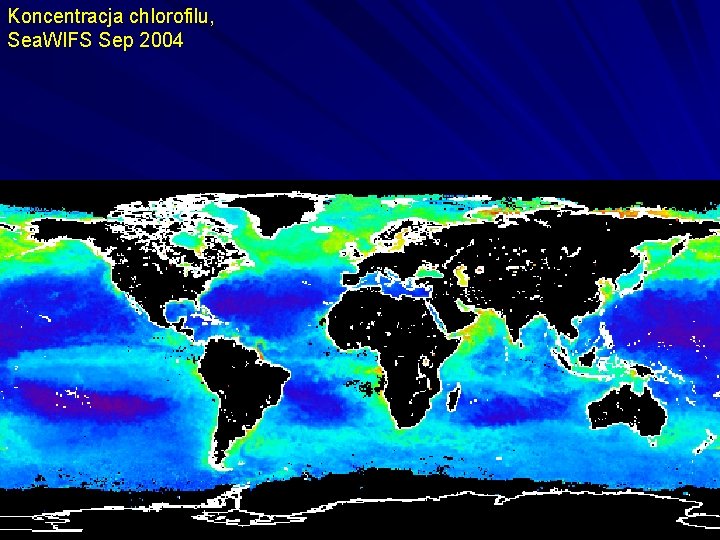 Koncentracja chlorofilu, Sea. WIFS Sep 2004 