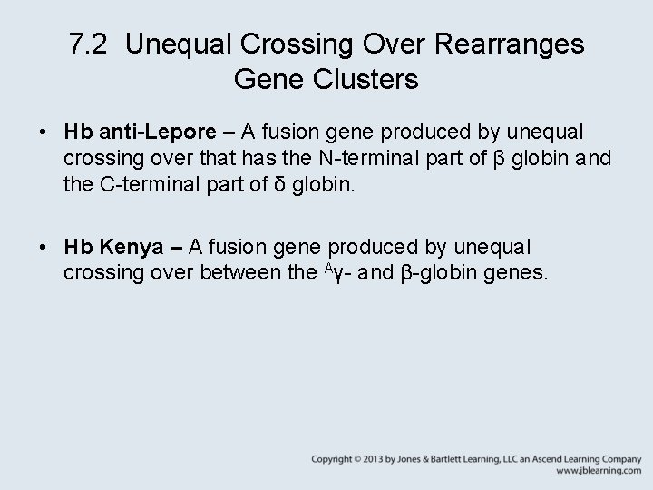 7. 2 Unequal Crossing Over Rearranges Gene Clusters • Hb anti-Lepore – A fusion