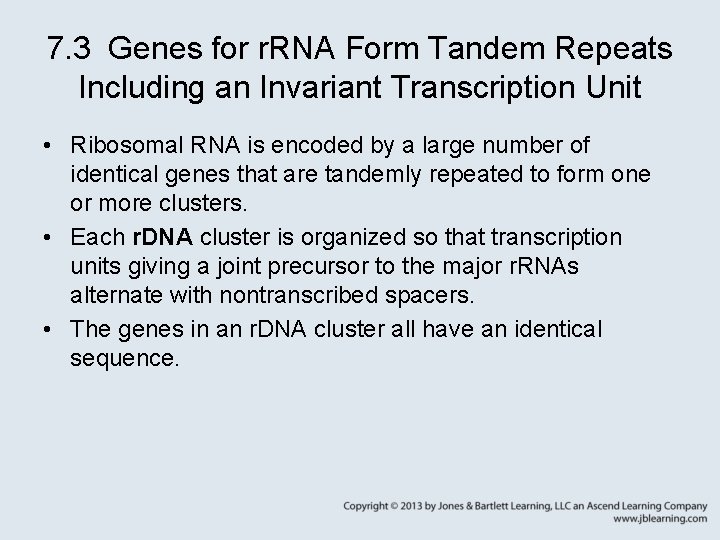 7. 3 Genes for r. RNA Form Tandem Repeats Including an Invariant Transcription Unit