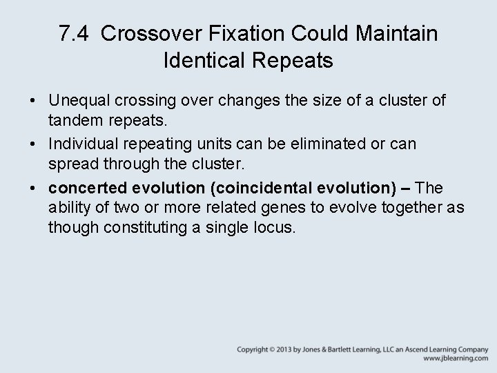7. 4 Crossover Fixation Could Maintain Identical Repeats • Unequal crossing over changes the