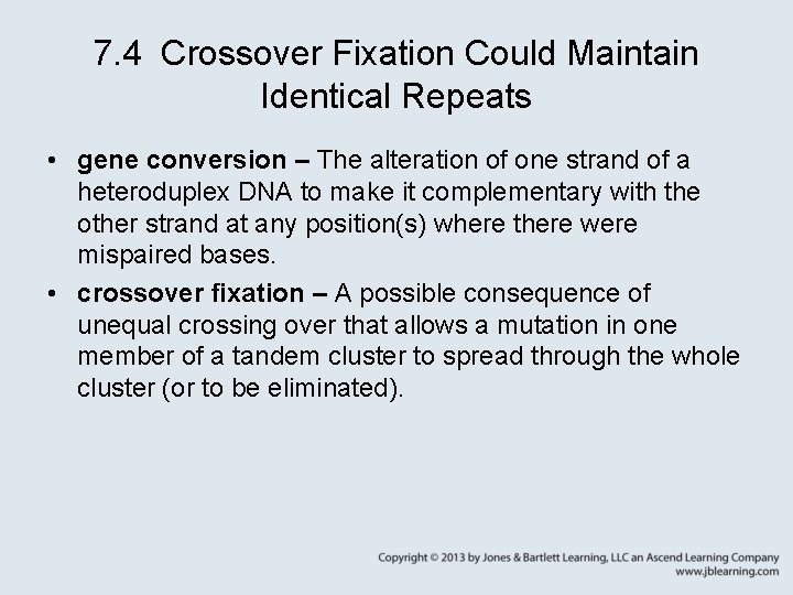 7. 4 Crossover Fixation Could Maintain Identical Repeats • gene conversion – The alteration