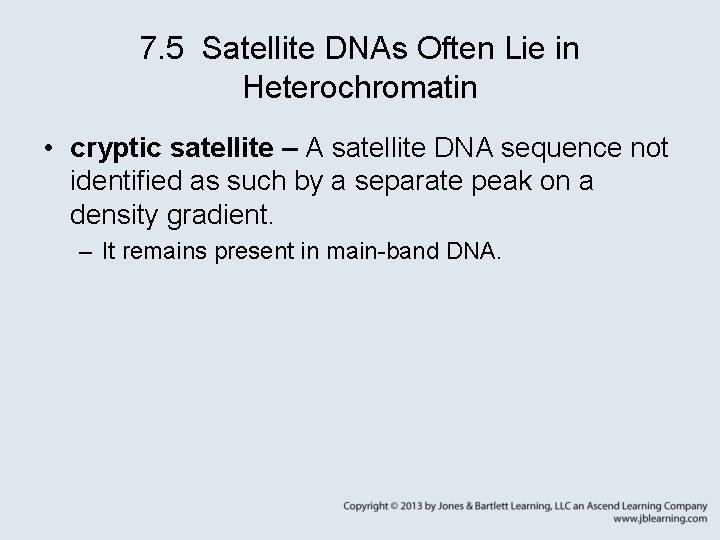 7. 5 Satellite DNAs Often Lie in Heterochromatin • cryptic satellite – A satellite