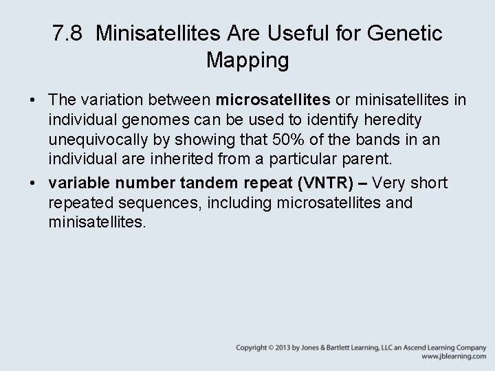 7. 8 Minisatellites Are Useful for Genetic Mapping • The variation between microsatellites or