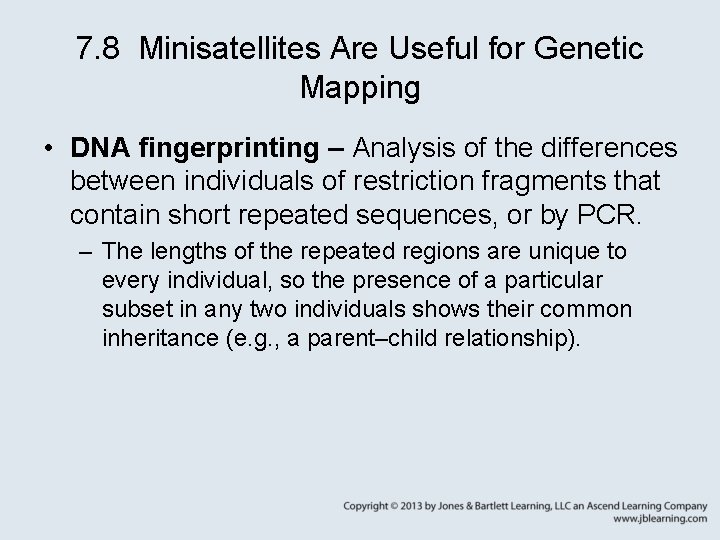 7. 8 Minisatellites Are Useful for Genetic Mapping • DNA fingerprinting – Analysis of