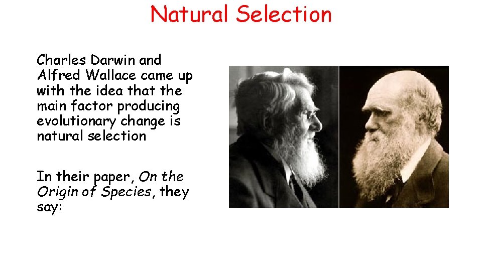 Natural Selection Charles Darwin and Alfred Wallace came up with the idea that the