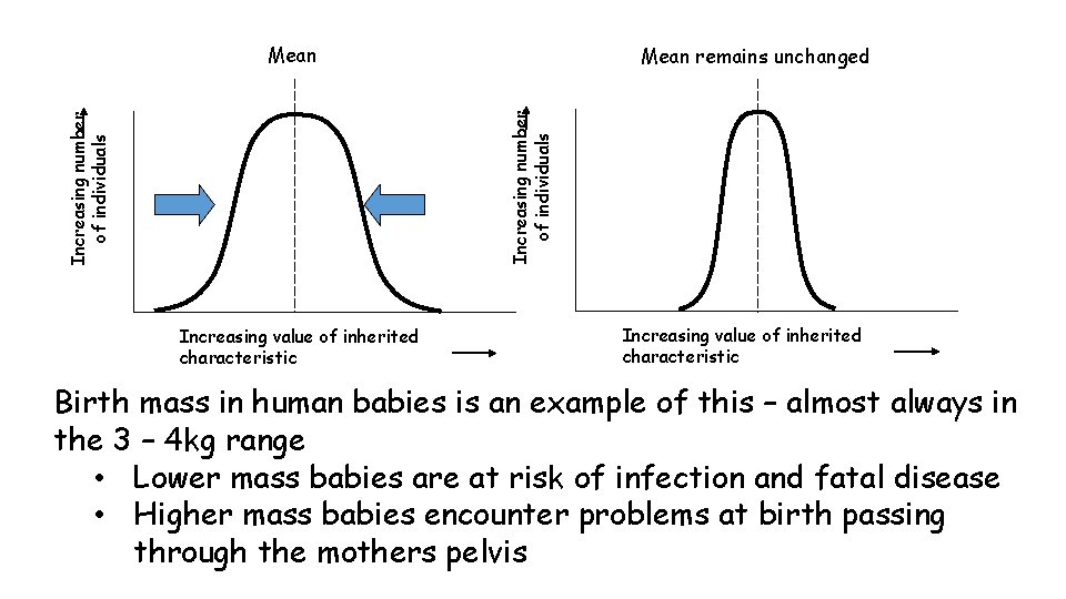 Mean Increasing number of individuals Mean remains unchanged Increasing value of inherited characteristic Birth