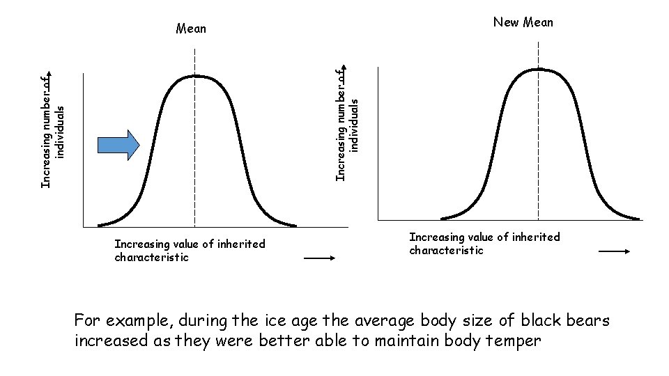 New Mean Increasing number of individuals Mean Increasing value of inherited characteristic For example,