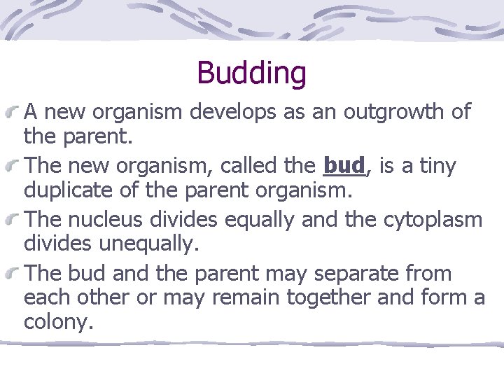 Budding A new organism develops as an outgrowth of the parent. The new organism,