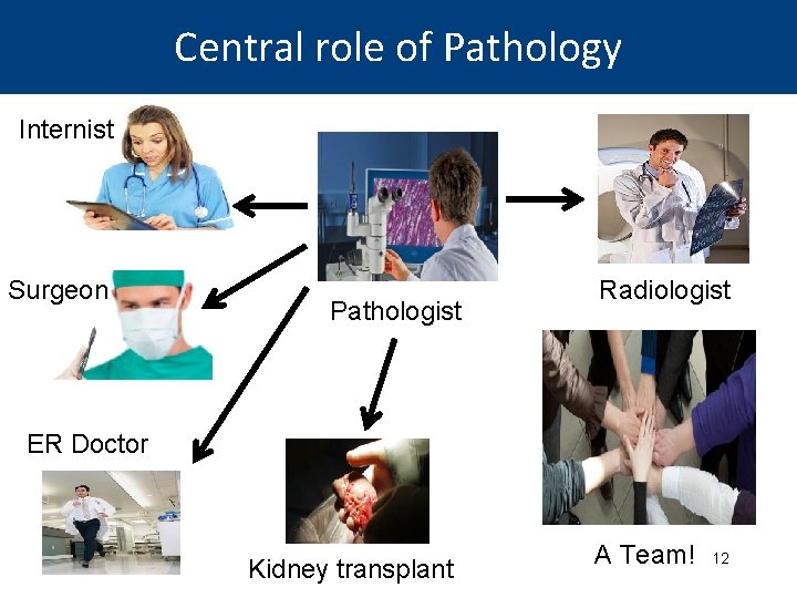 Central role of Pathology Internist Surgeon Pathologist Radiologist ER Doctor Kidney transplant A Team!
