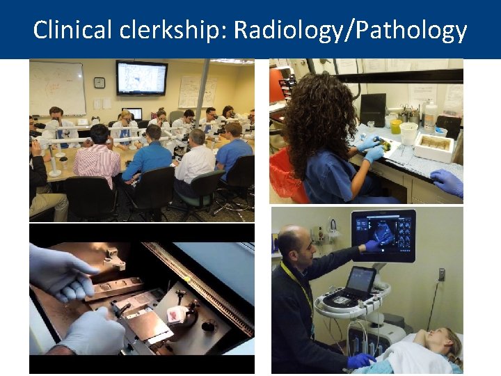 Clinical clerkship: Radiology/Pathology 22 