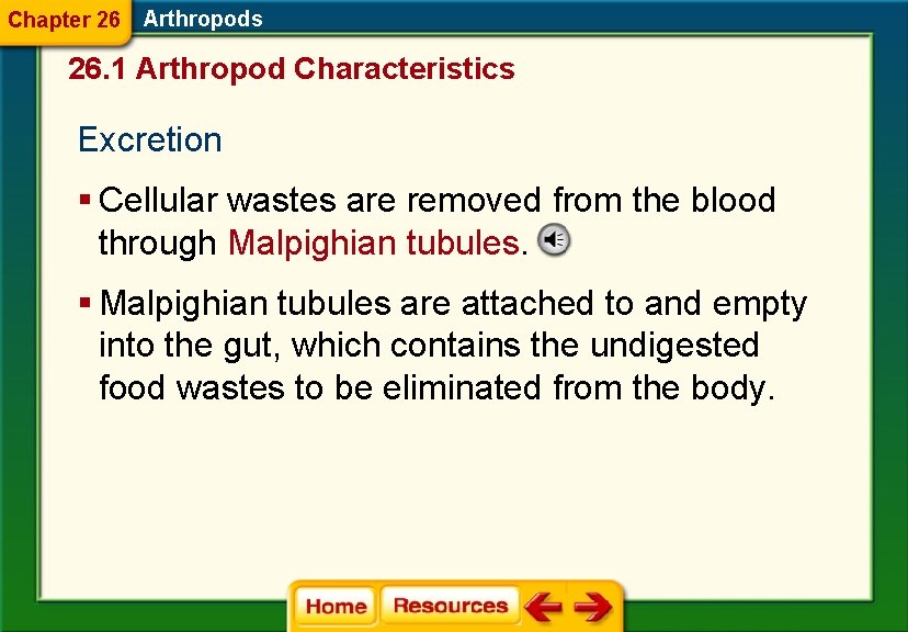 Chapter 26 Arthropods 26. 1 Arthropod Characteristics Excretion § Cellular wastes are removed from