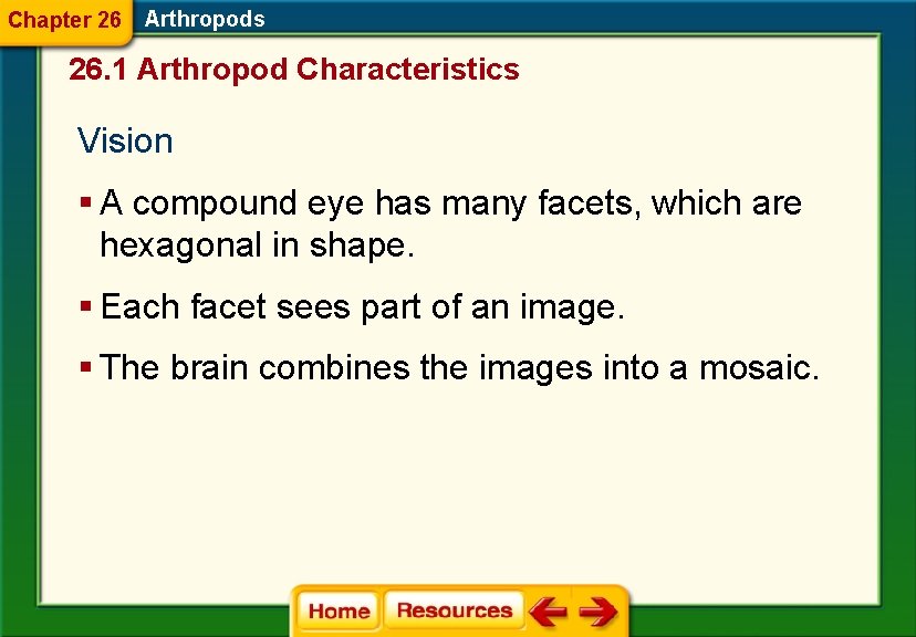 Chapter 26 Arthropods 26. 1 Arthropod Characteristics Vision § A compound eye has many