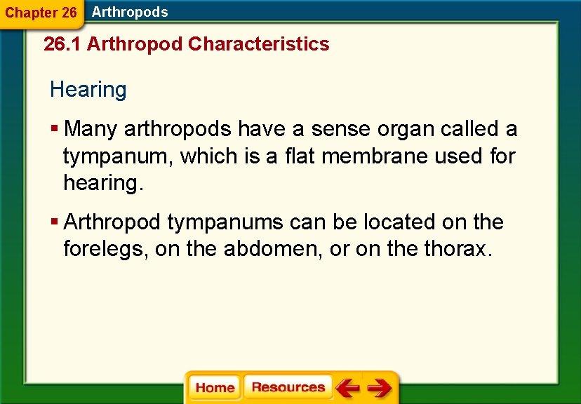 Chapter 26 Arthropods 26. 1 Arthropod Characteristics Hearing § Many arthropods have a sense