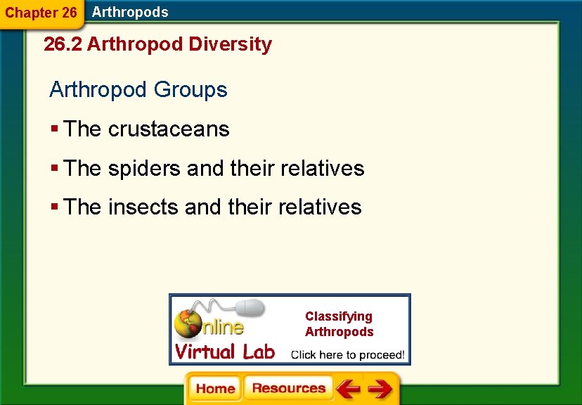 Chapter 26 Arthropods 26. 2 Arthropod Diversity Arthropod Groups § The crustaceans § The