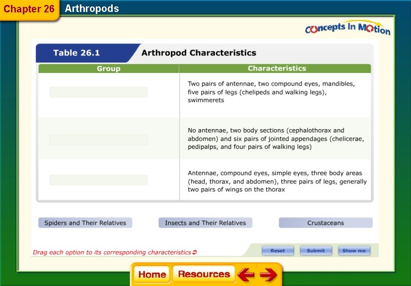 Chapter 26 Arthropods 
