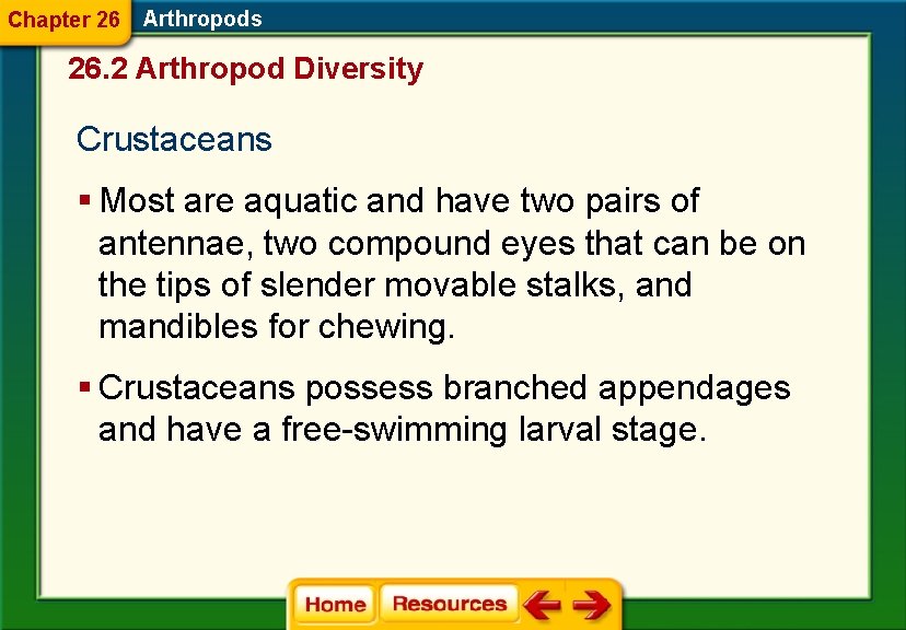 Chapter 26 Arthropods 26. 2 Arthropod Diversity Crustaceans § Most are aquatic and have