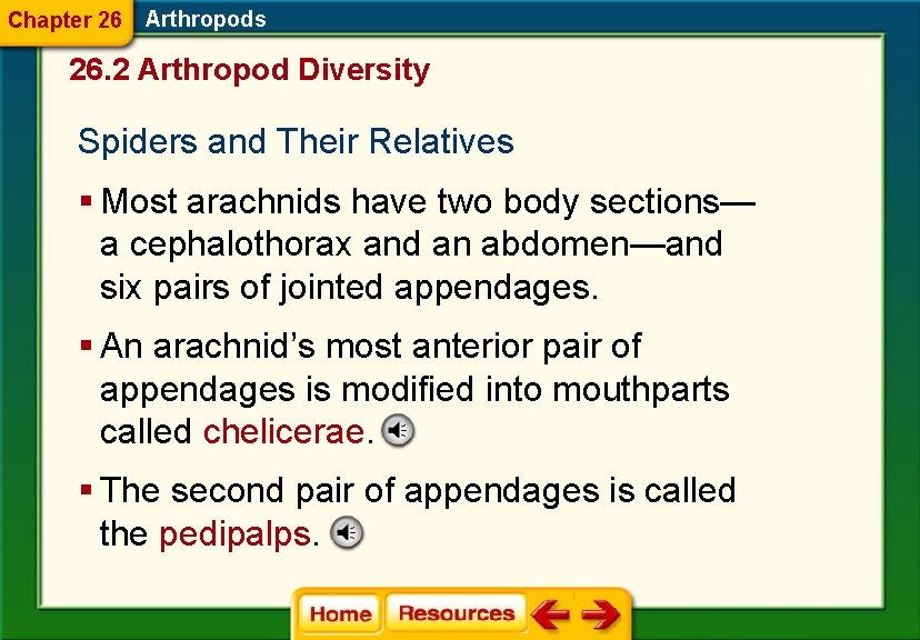 Chapter 26 Arthropods 26. 2 Arthropod Diversity Spiders and Their Relatives § Most arachnids