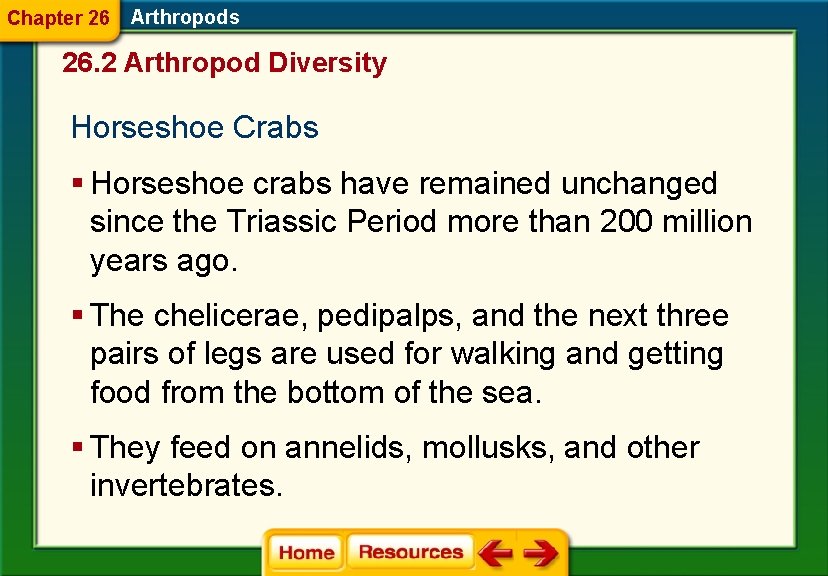 Chapter 26 Arthropods 26. 2 Arthropod Diversity Horseshoe Crabs § Horseshoe crabs have remained