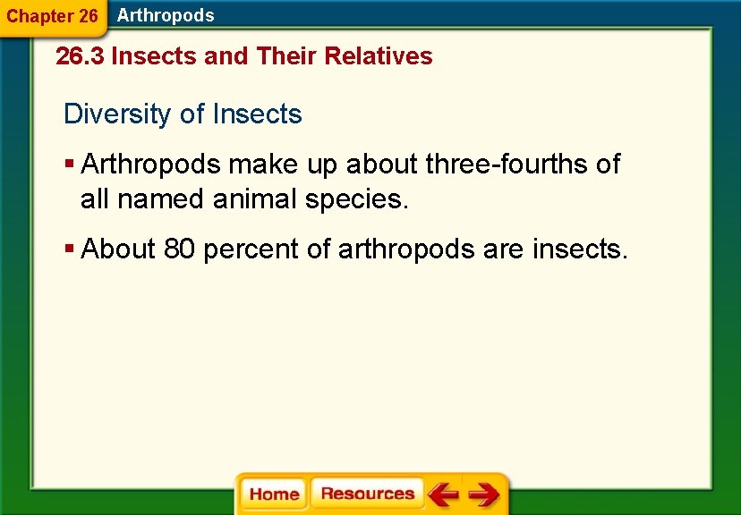 Chapter 26 Arthropods 26. 3 Insects and Their Relatives Diversity of Insects § Arthropods