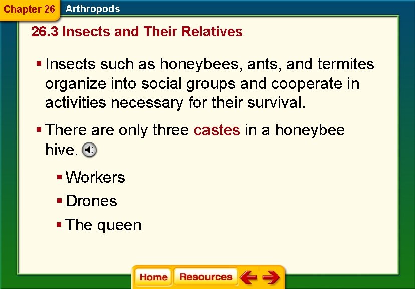 Chapter 26 Arthropods 26. 3 Insects and Their Relatives § Insects such as honeybees,