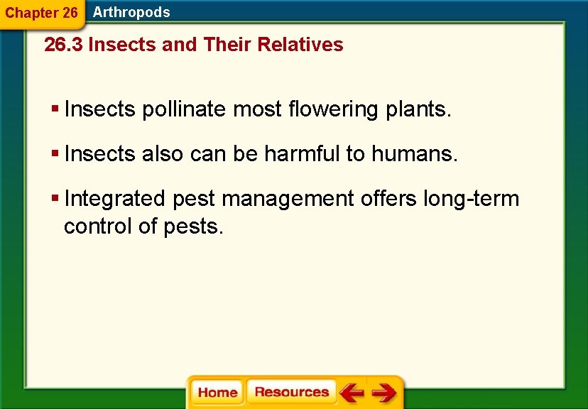 Chapter 26 Arthropods 26. 3 Insects and Their Relatives § Insects pollinate most flowering