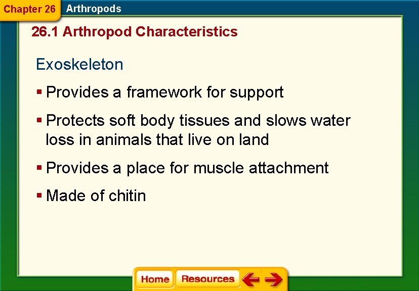 Chapter 26 Arthropods 26. 1 Arthropod Characteristics Exoskeleton § Provides a framework for support