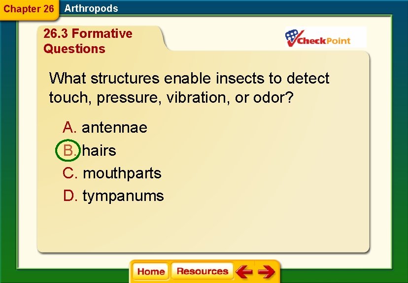 Chapter 26 Arthropods 26. 3 Formative Questions What structures enable insects to detect touch,