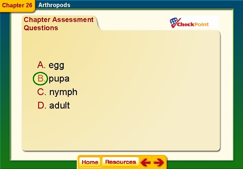 Chapter 26 Arthropods Chapter Assessment Questions A. egg B. pupa C. nymph D. adult