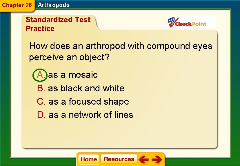 Chapter 26 Arthropods Standardized Test Practice How does an arthropod with compound eyes perceive