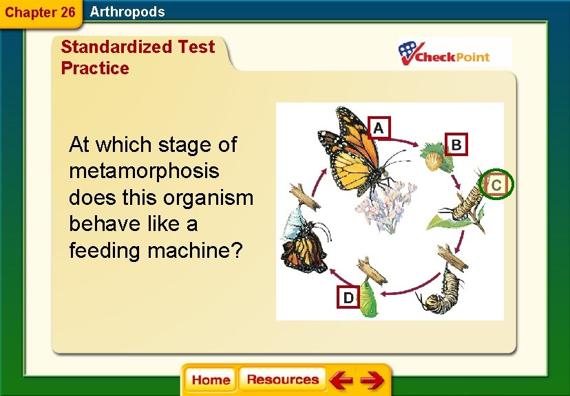Chapter 26 Arthropods Standardized Test Practice At which stage of metamorphosis does this organism