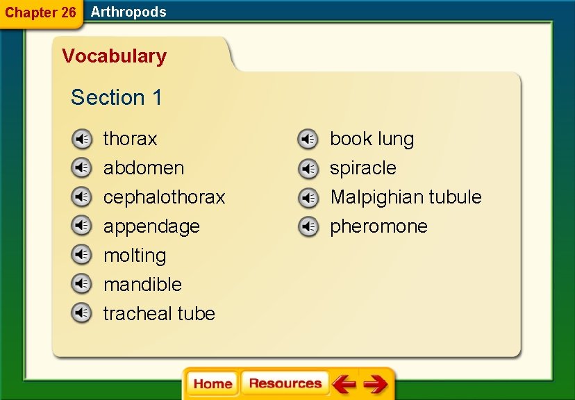 Chapter 26 Arthropods Vocabulary Section 1 thorax book lung abdomen cephalothorax appendage molting mandible