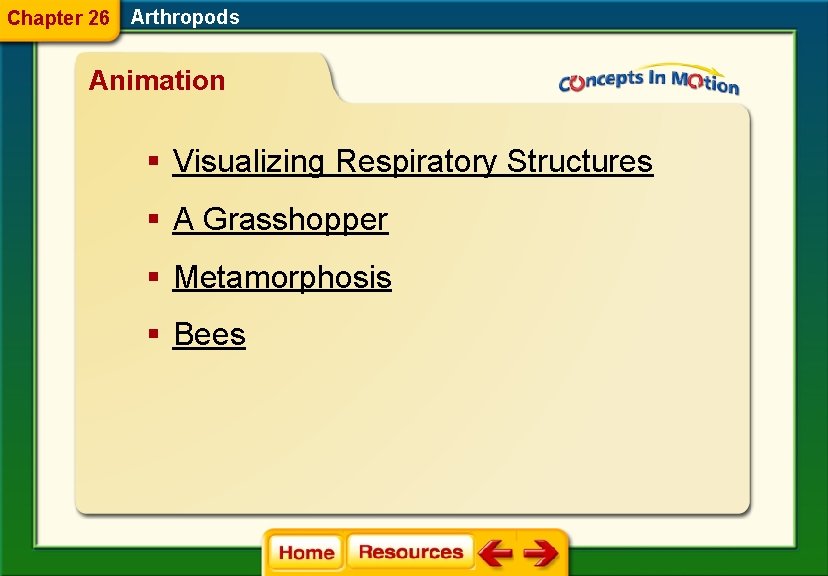 Chapter 26 Arthropods Animation § Visualizing Respiratory Structures § A Grasshopper § Metamorphosis §