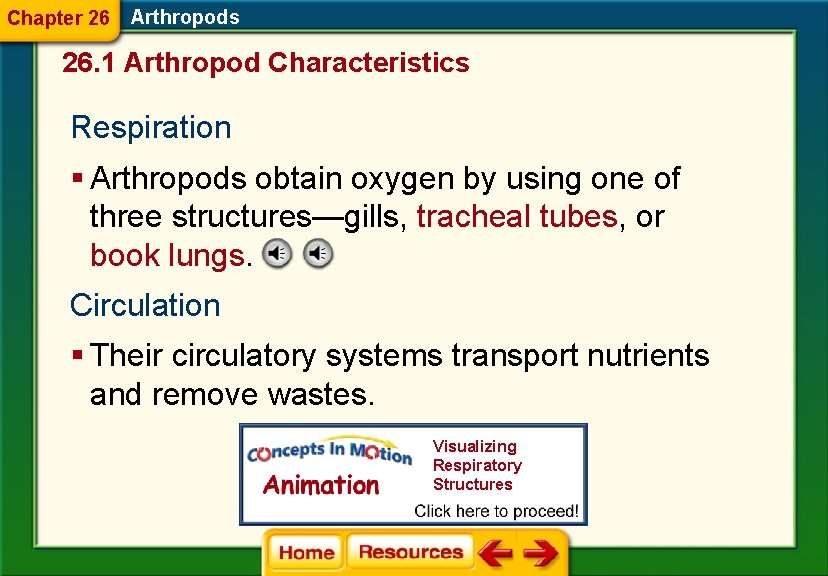 Chapter 26 Arthropods 26. 1 Arthropod Characteristics Respiration § Arthropods obtain oxygen by using
