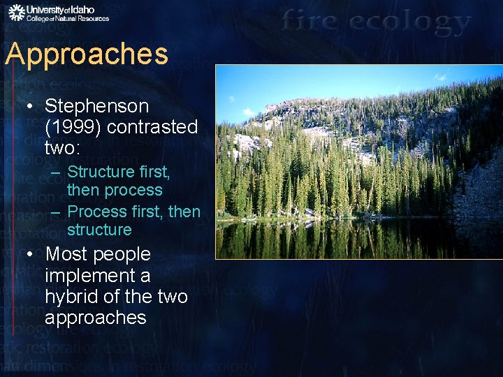 Approaches • Stephenson (1999) contrasted two: – Structure first, then process – Process first,