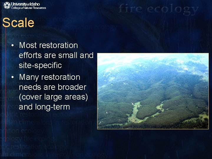 Scale • Most restoration efforts are small and site-specific • Many restoration needs are