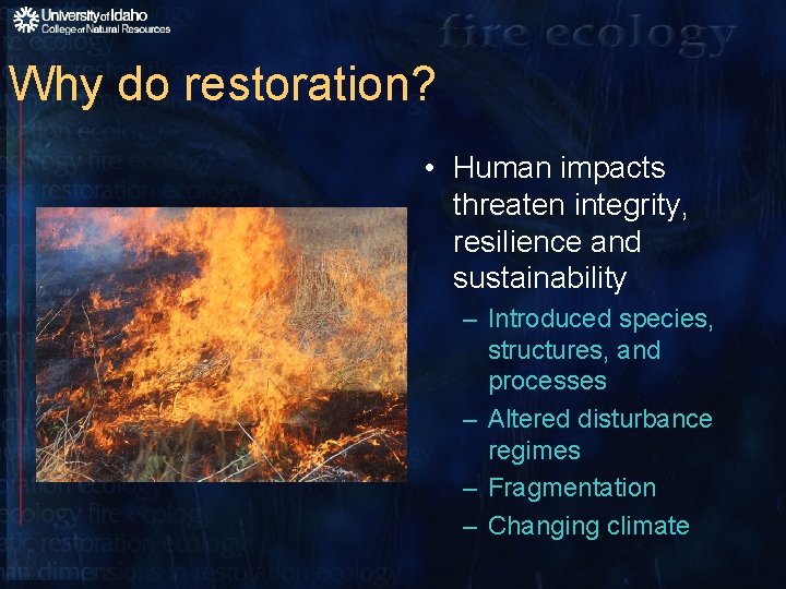 Why do restoration? • Human impacts threaten integrity, resilience and sustainability – Introduced species,