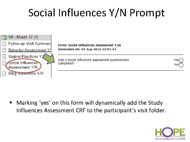 Social Influences Y/N Prompt § Marking ‘yes’ on this form will dynamically add the