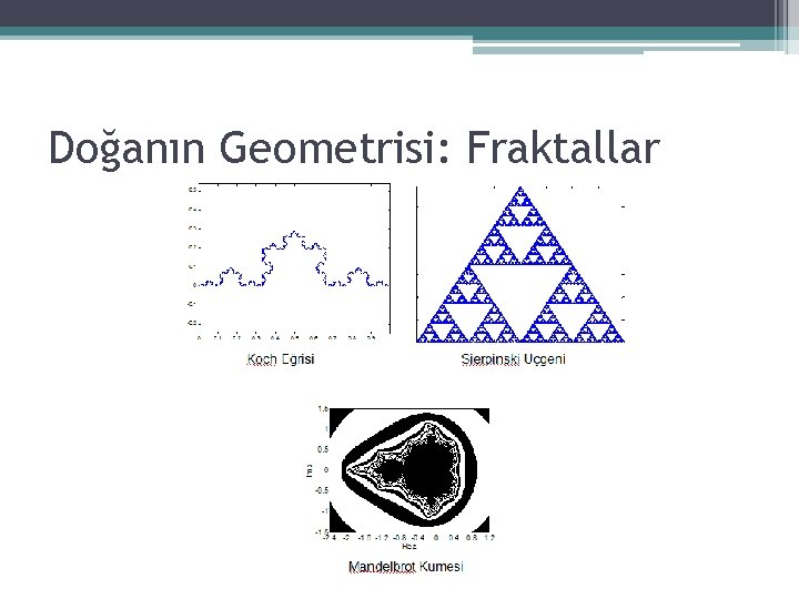 Doğanın Geometrisi: Fraktallar 