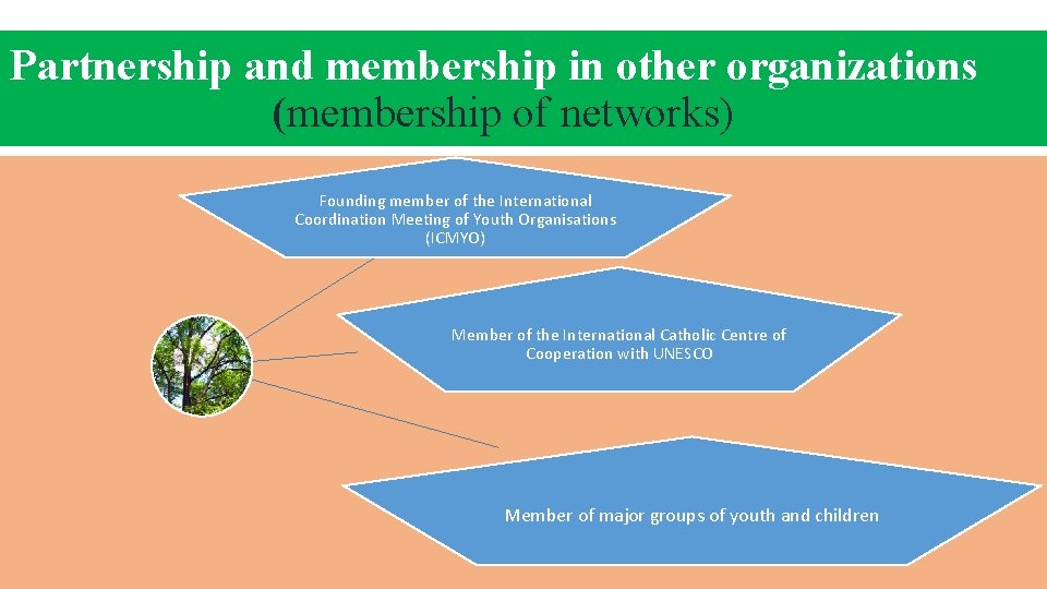 Partnership and membership in other organizations (membership of networks) Founding member of the International