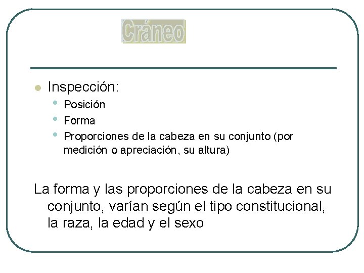 l Inspección: • • • Posición Forma Proporciones de la cabeza en su conjunto