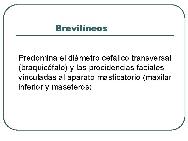 Brevilíneos Predomina el diámetro cefálico transversal (braquicéfalo) y las procidencias faciales vinculadas al aparato