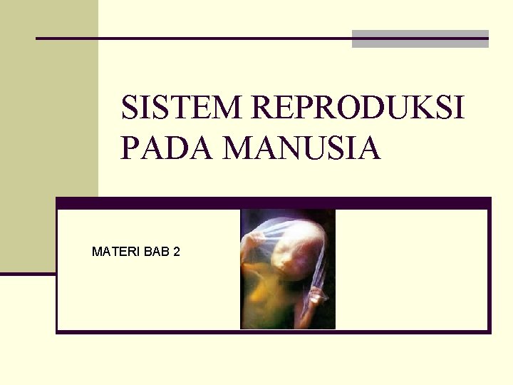 SISTEM REPRODUKSI PADA MANUSIA MATERI BAB 2 